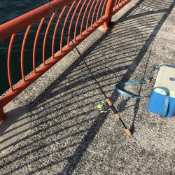 今年、初ゲット！