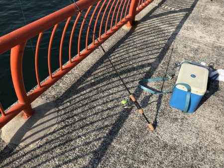 今年、初ゲット！