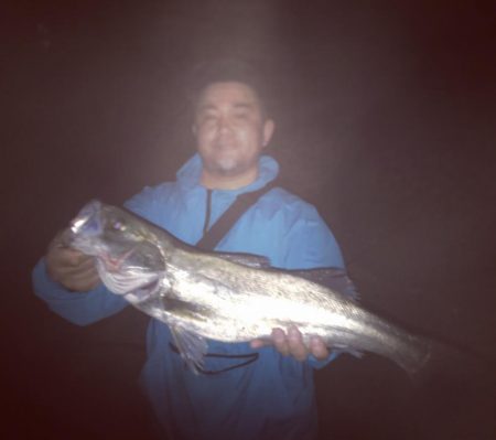 バチシーバス！