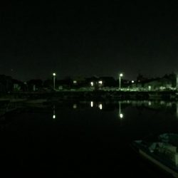 ジグ単に挑戦！