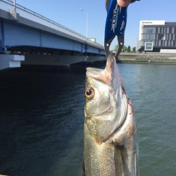 神崎川 デイシーバス