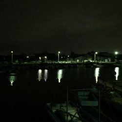 楽しいプラッキング