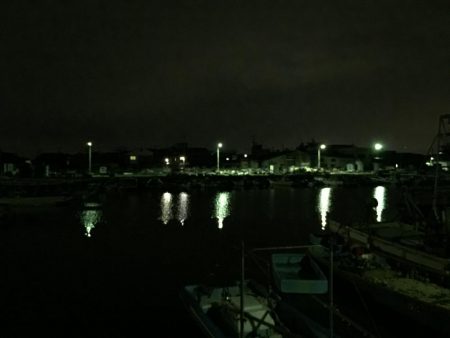 楽しいプラッキング