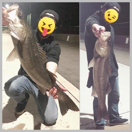 シーバス✧ ランカーサイズ手前 !!!