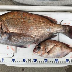 虎之介さんでタイラバ