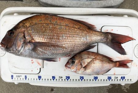 虎之介さんでタイラバ