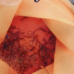 アナゴも釣れた