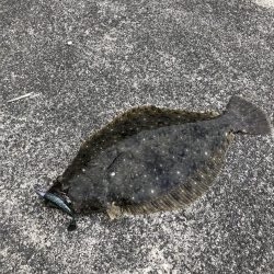 こんなところで！？