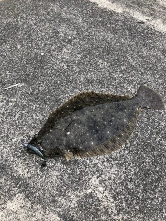 こんなところで！？