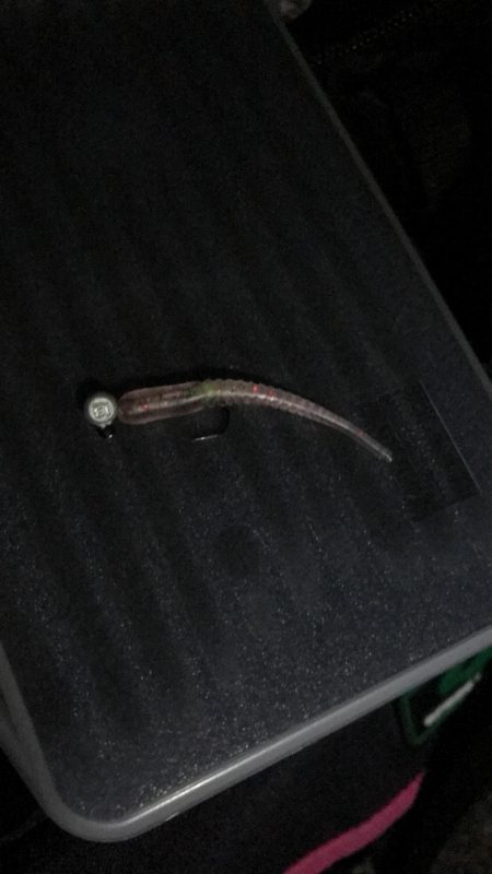 やっぱりジグ単