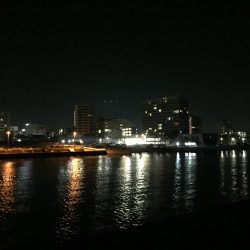 新しい漁港で挑戦