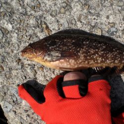 昨日に引き続き