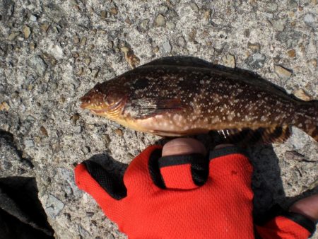 昨日に引き続き