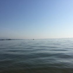 ひと、人、ヒト