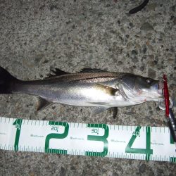 にょろにょろ初Hit！！