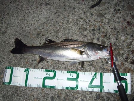 にょろにょろ初Hit！！