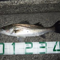 面目保てました!!