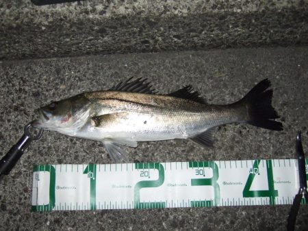 面目保てました!!