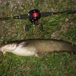 久々の水面爆発