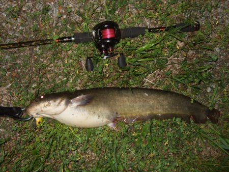 久々の水面爆発