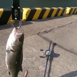 今年も停泊船ゲ―ム開幕だよ