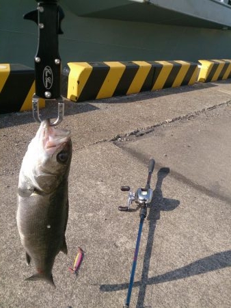 今年も停泊船ゲ―ム開幕だよ
