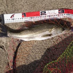 強風でも釣りに行く❗