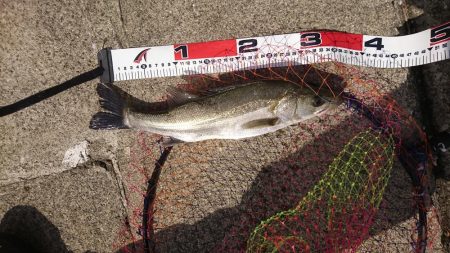 強風でも釣りに行く❗