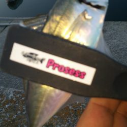 満員御礼の福良アジング