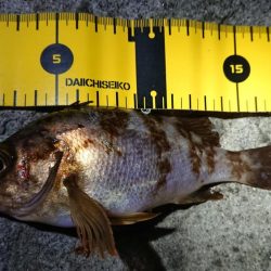 仕事終わりメバリング