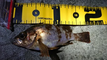 仕事終わりメバリング