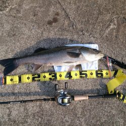 結局、岸壁にきました。