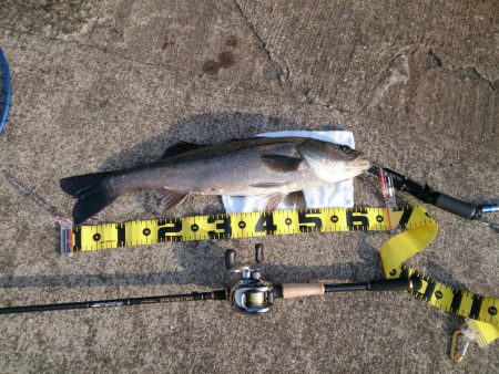 結局、岸壁にきました。