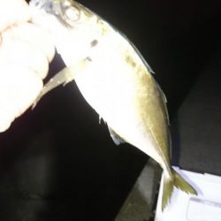 やっぱり 居ったか。