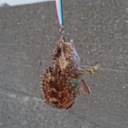 愛しのガッちゃん！