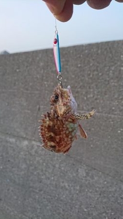 愛しのガッちゃん！