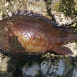 もう少しサイズほしいな