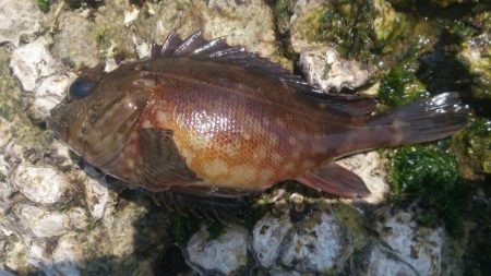 もう少しサイズほしいな