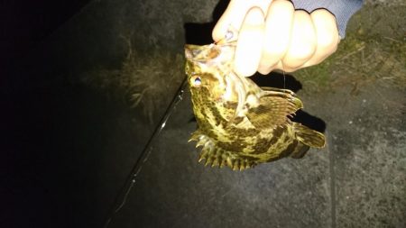 本命のタケノコメバル！