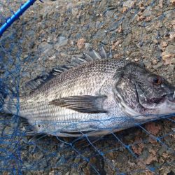 ゴールデンウィーク釣行1日目