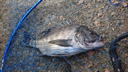 ゴールデンウィーク釣行1日目