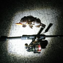 久しぶりの釣行