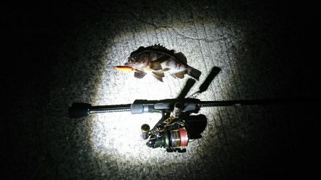 久しぶりの釣行