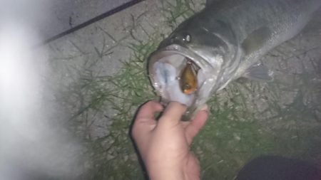 諦めかけたその時