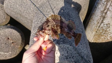 穴釣りしてみた