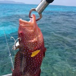 オフショア初挑戦GTはお留守