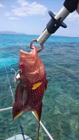 オフショア初挑戦GTはお留守