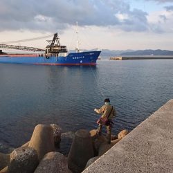 チビガシラのみ・・・