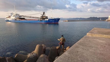 チビガシラのみ・・・