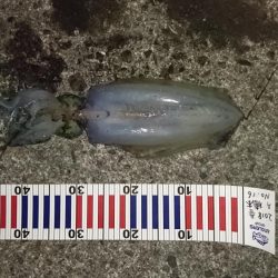 水温が安定してるので行って来ました。